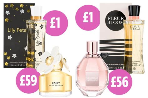 poundland perfume dupe|pound shop perfume dupes.